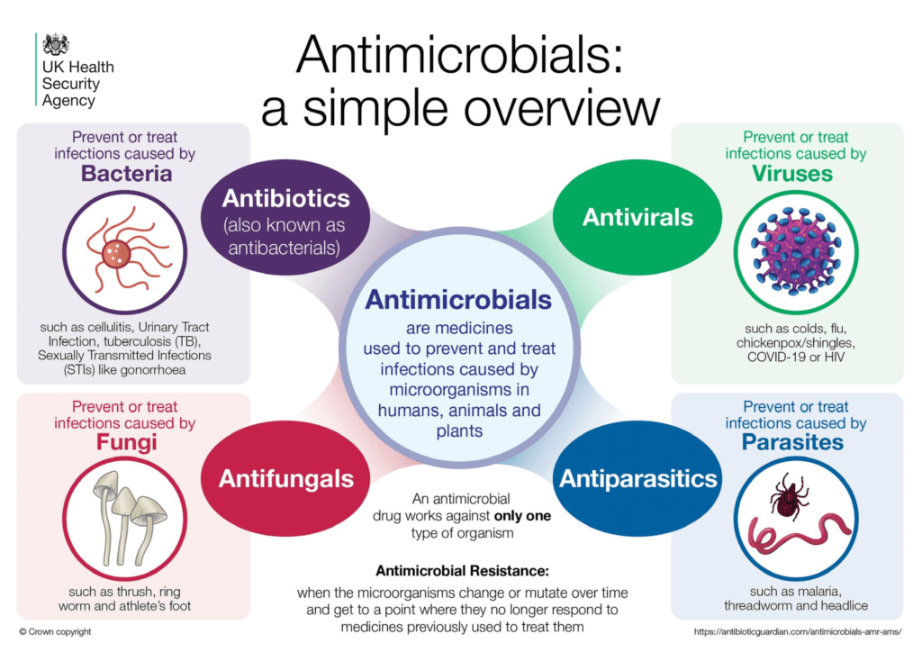 A graphic reading: Antimicrobials - A simple overview. Antimicrobials are medicines used to prevent and treat infections caused by microorganisms in humans, animals and plants. They include antibiotics, antivirals, antifungals and antiparasitics. 
