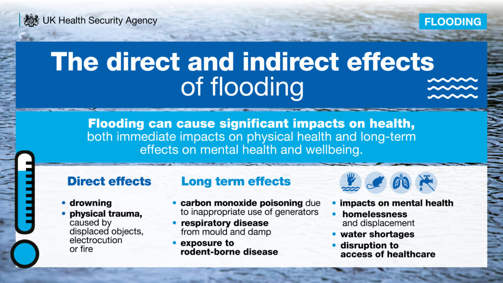 Infographic looking at the direct and indirect effects of flooding