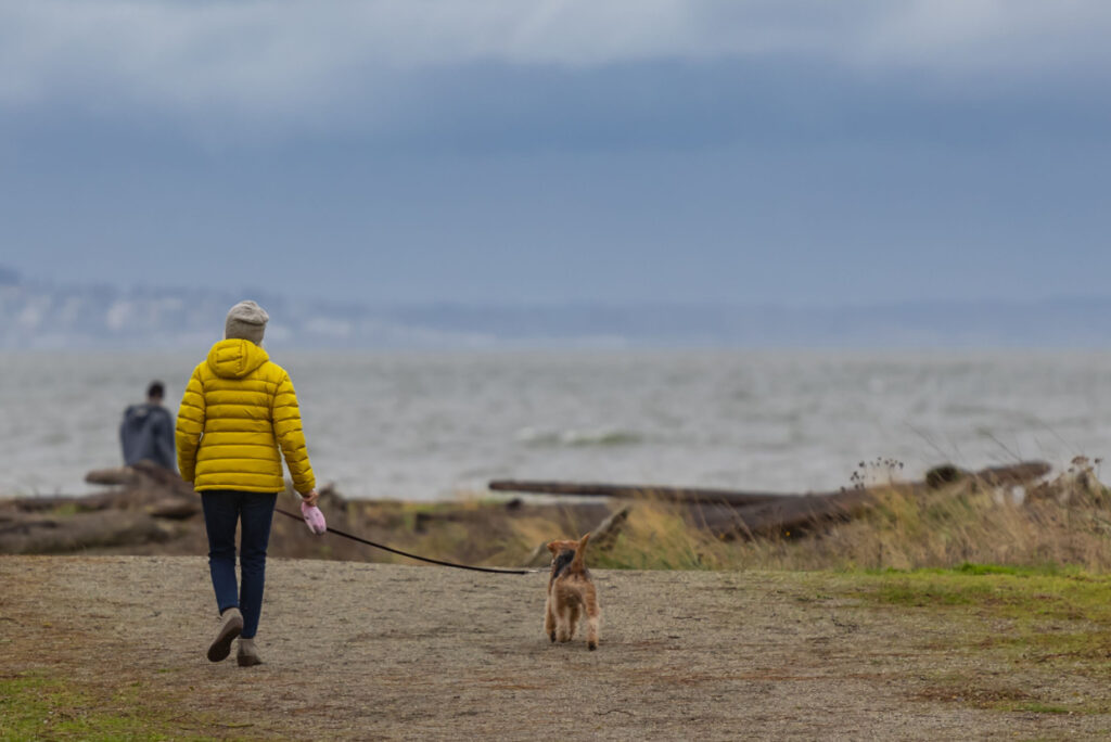 Woman in yellow coat walking dog by the sea