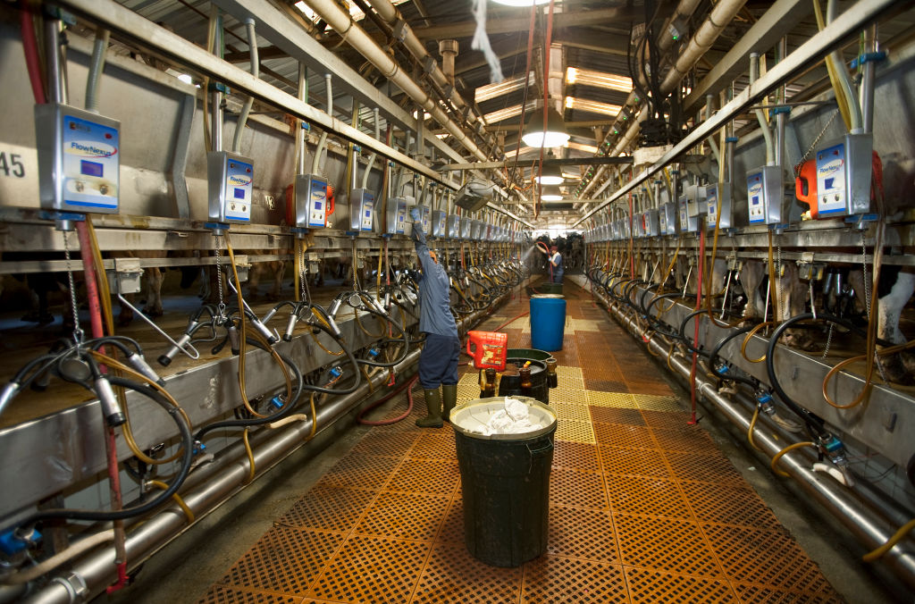 A U.S. dairy farm
